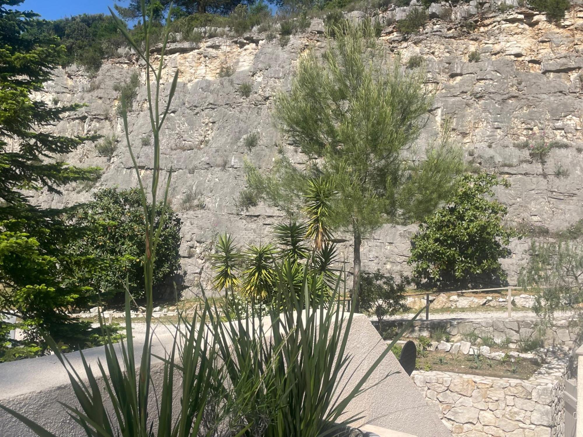 La Villa Des Carriers- Maison Avec Piscine Proche Mer Roquefort-les-Pins Exteriör bild
